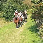 Διαμέρισμα Reitanlage Baerenz Selk