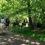 Reitanlage Baerenz Selk