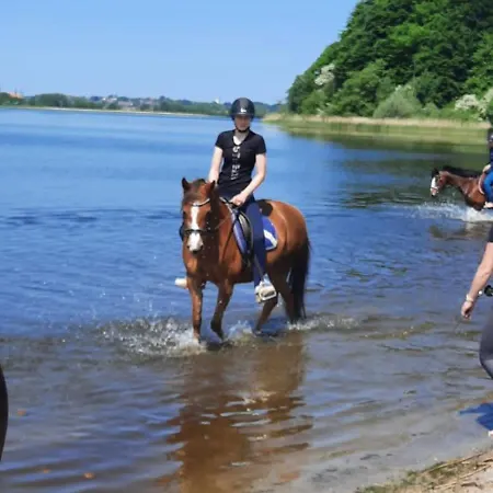 Reitanlage Baerenz アパート *