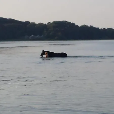 Reitanlage Baerenz *