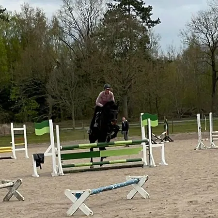 Reitanlage Baerenz Selk