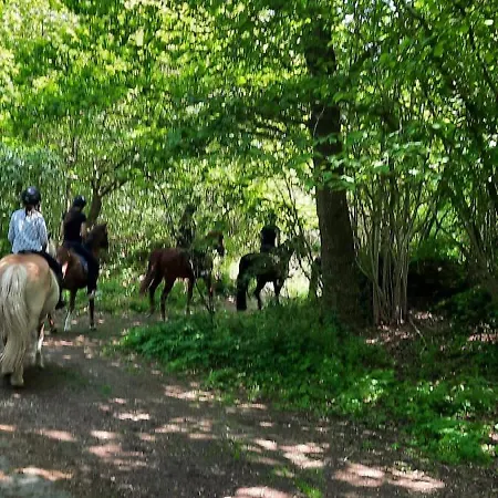 Reitanlage Baerenz Selk